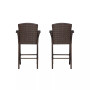 Outdoor Wicker Bar Stools Set of 2