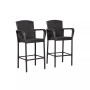 Outdoor Wicker Bar Stools Set of 2