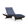 Hayden Outdoor Chaise Lounge