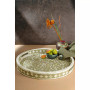 Jodhpur Mother of Pearl Decorative Tray