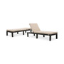 Logan Outdoor Chaise Lounge (Set Of 2)