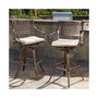 Sebastian Outdoor Bar Stool (Set of 2)