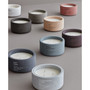 FRAGA Fig Fragrance 3 Wick 5" Candle, 14 oz