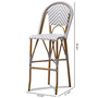 Ilene Outdoor Bar Stool