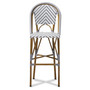 Ilene Outdoor Bar Stool