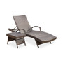 Hayden Outdoor Chaise Lounge and Table Set