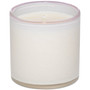Blush Rose Classic Candle, 6.5 oz.