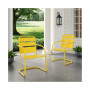 Brighton Metal Chair Set Of 2