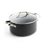 Valencia Pro Healthy Ceramic Nonstick 5.5-Qt. Stockpot with Lid