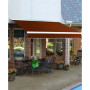 8' Destin with Hood Left Motor, Remote Retractable Awning, 78" Projection