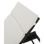 Curio Outdoor Chaise Lounge (Set Of 2)