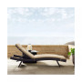 Biscayne Chaise Lounge With Cushion