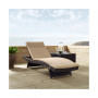Biscayne Chaise Lounge With Cushion