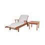 2 Piece Patio Chaise Lounger Set with Cushion