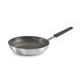 Professional Fusion 10 in Fry Pan