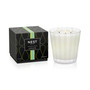 Coconut & Palm 3-Wick Candle, 21.1 oz.