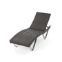 Graham Outdoor Chaise Lounge Chair
