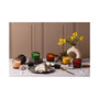 Firefly Gem Fluted Glass Autumn Musk Candle, 10 oz.