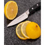 3.5" Professional Kitchen Paring Knife