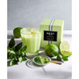 Lime Zest & Matcha Classic Candle, 8.1 oz.
