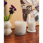Apricot Red Currant 3-Wick Candle, 32 oz.