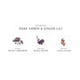 Dark Amber & Ginger Lily Home Candle, 7.1 oz.