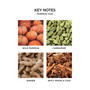 Pumpkin Chai Reed Diffuser, 5.9 oz.