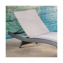 Pietro Outdoor Chaise Lounge with Cushion