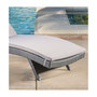 Pietro Outdoor Chaise Lounge with Cushion
