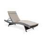 Pietro Outdoor Chaise Lounge with Cushion