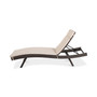 Pietro Outdoor Chaise Lounge with Cushion