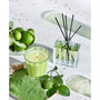 Lime Zest & Matcha Reed Diffuser, 5.9 oz.