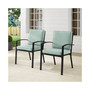 Kaplan 2 Piece Outdoor Dining Chair Set