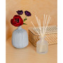 Apricot Red Currant Reed Diffuser, 6.7 oz.