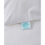 Down Alternative All Season Comforter, Twin