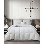 Down Alternative All Season Comforter, Twin