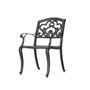 Austin Outdoor Cast Dining Chairs, Set of 2