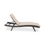 Reseda Outdoor Chaise Lounge
