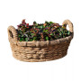 Provencal Basket Planter