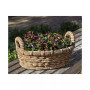Provencal Basket Planter