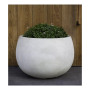 Norfolk Planter