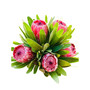 Protea Fresh Flower Spring Bouquet