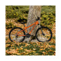 Rock Dove Mountain Bike