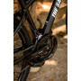 Rock Dove Mountain Bike