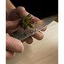 Premier 4" Paring Knife