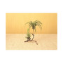 Standing Double Air Planter, Metal, 8in