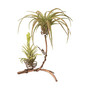 Standing Double Air Planter, Metal, 8in