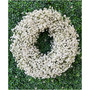 Fresh Real Babies Breath Spring Wreath