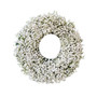 Fresh Real Babies Breath Spring Wreath