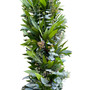 Fresh Real Garland Eucalyptus Bayleaf and Rosemary Spring Garland